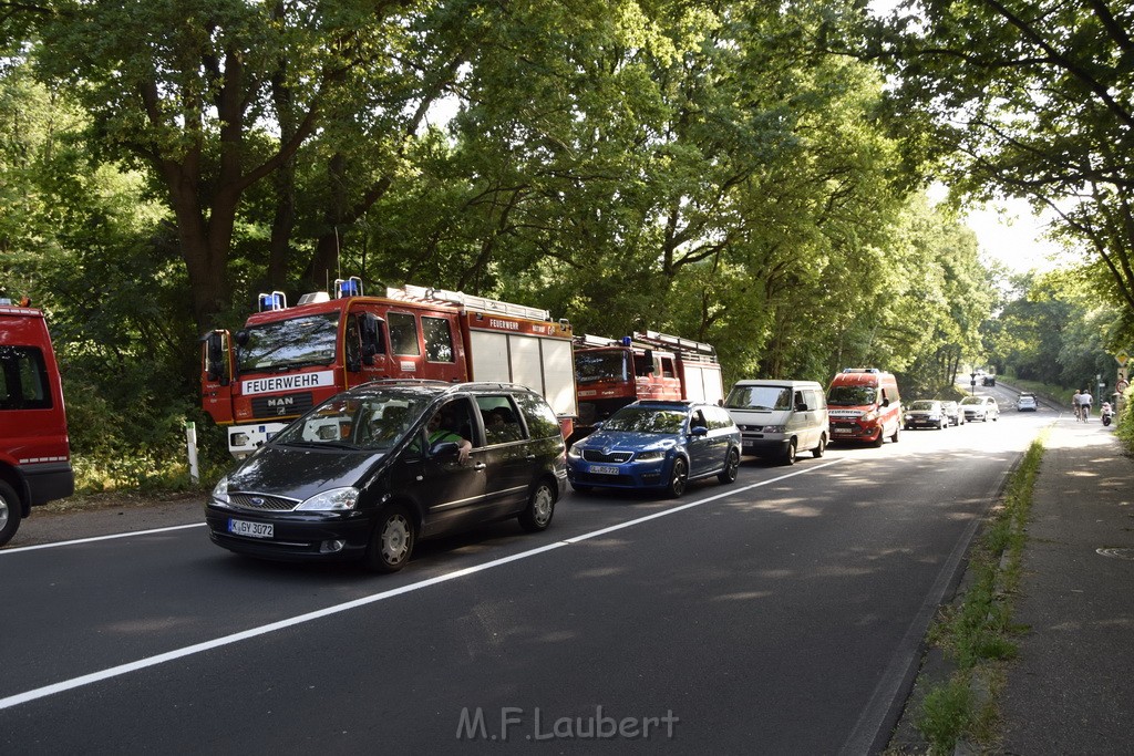 Waldbrand Koeln Hoehenhaus Hoehenfelder Mauspfad P004.JPG - Miklos Laubert